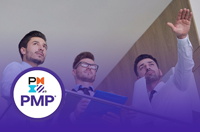 Direcci&oacute;n de Proyectos (PMP)&reg; (Semanal)